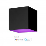 Hombli Indoor and Outdoor Smart Wall Light RGB CCT Black