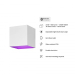 Hombli Outdoor Smart Light Wallmount RGB CCT White