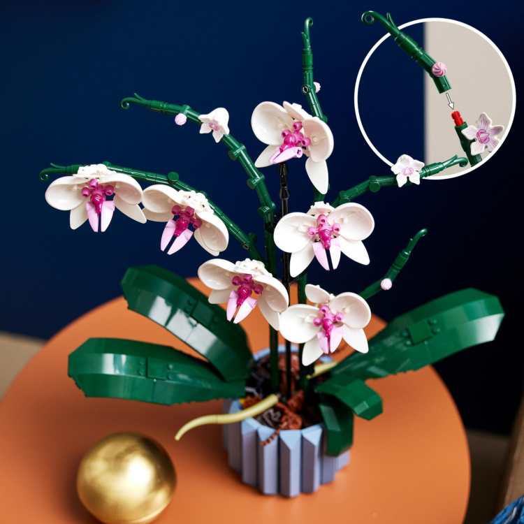 LEGO Botanical 10311 - Orchid