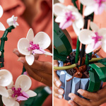 LEGO Botanical 10311 - Orchid