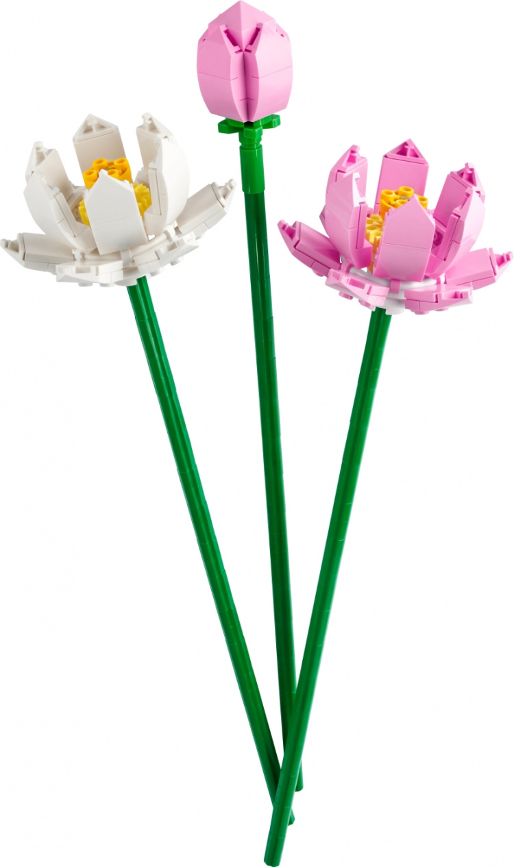 LEGO Botanical 40647 - Lotus Flowers LEGO Botanical 40647 - Lotus Flowers