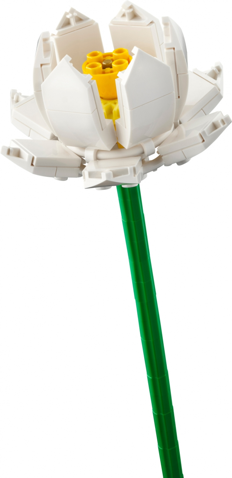 LEGO Botanical 40647 - Lotus Flowers LEGO Botanical 40647 - Lotus Flowers