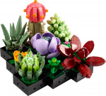 LEGO Botanical 10309 - Succulents