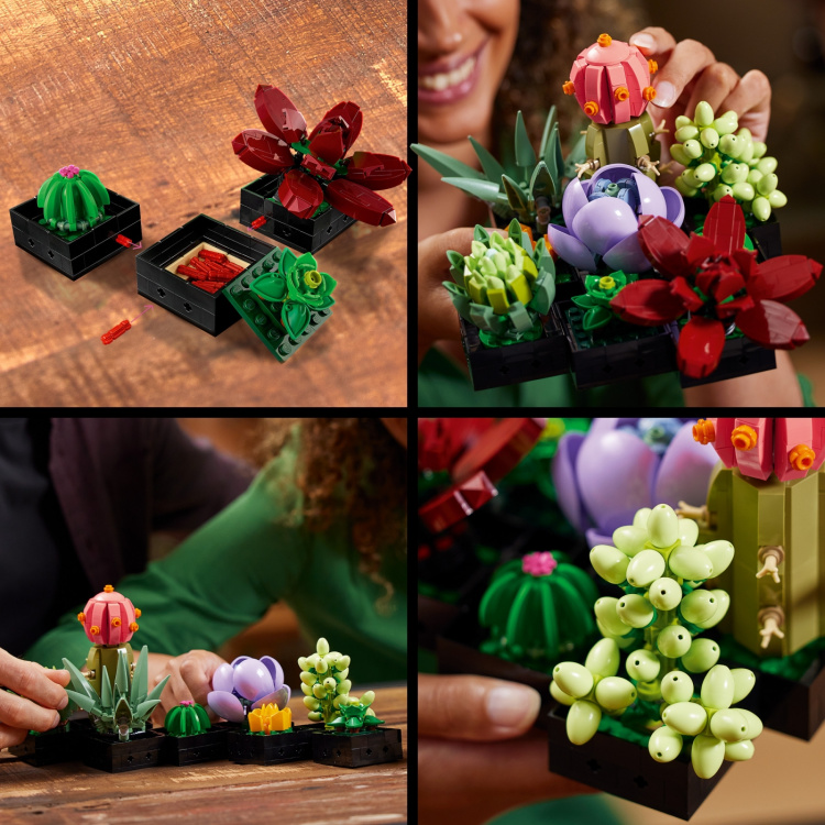 LEGO Botanical 10309 - Succulents