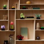 LEGO Botanical 10309 - Succulents