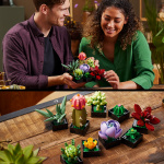 LEGO Botanical 10309 - Succulents