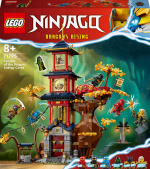LEGO Ninjago 71795 - Temple of the Dragon Energy Cores