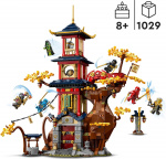 LEGO Ninjago 71795 - Temple of the Dragon Energy Cores