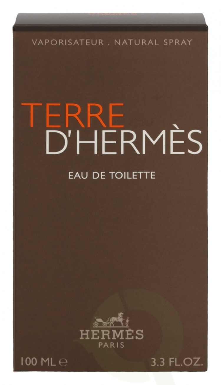 Hermes Terre D\'Hermes Edt Spray 100 ml