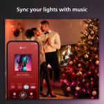 Philips Hue Festavia ljusslinga Inom-/utomhus 500 LED 40m