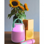 Mobility On Board Speaker Karaoke Kit Mic LED Pink