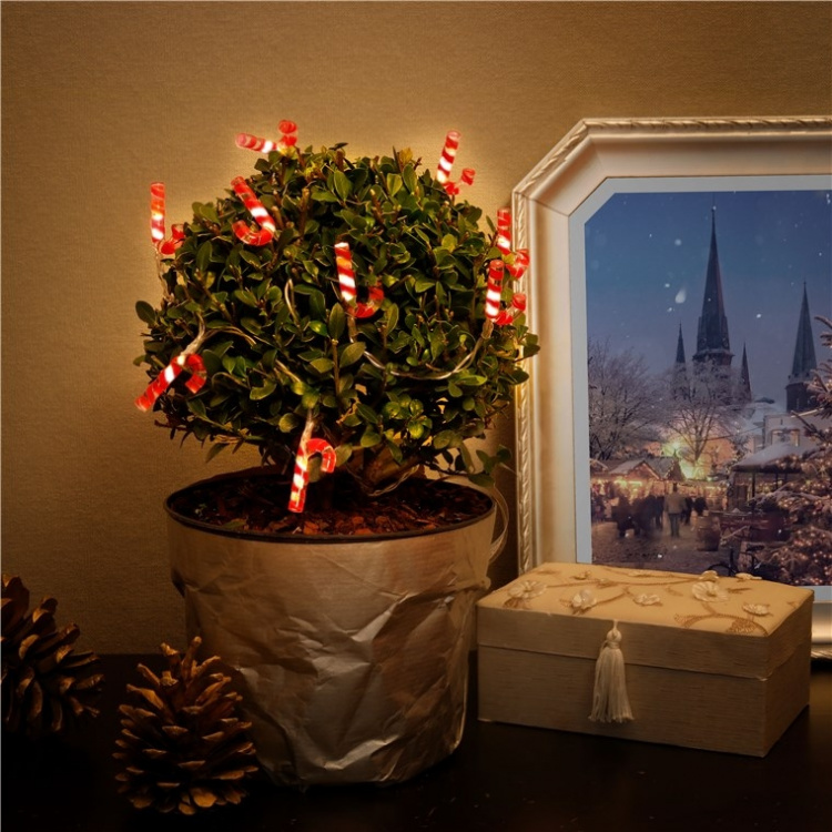 Goobay String Light  Goobay String Light