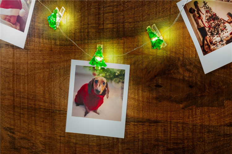 Goobay 10 LED Photo Clip Fairy Lights  Goobay 10 LED Photo Clip Fairy Lights