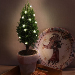 Goobay 20 LED Silver Wire Fairy Lights  Goobay 20 LED Silver Wire Fairy Lights