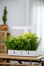 Airam Daisy -kasvivalaisin, 20W/835, 1450 lm, valkoinen Airam Daisy -kasvivalaisin, 20W/835, 1450 lm, valkoinen