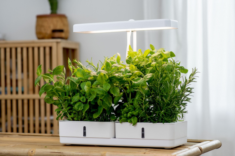 Airam Daisy -kasvivalaisin, 20W/835, 1450 lm, valkoinen Airam Daisy -kasvivalaisin, 20W/835, 1450 lm, valkoinen