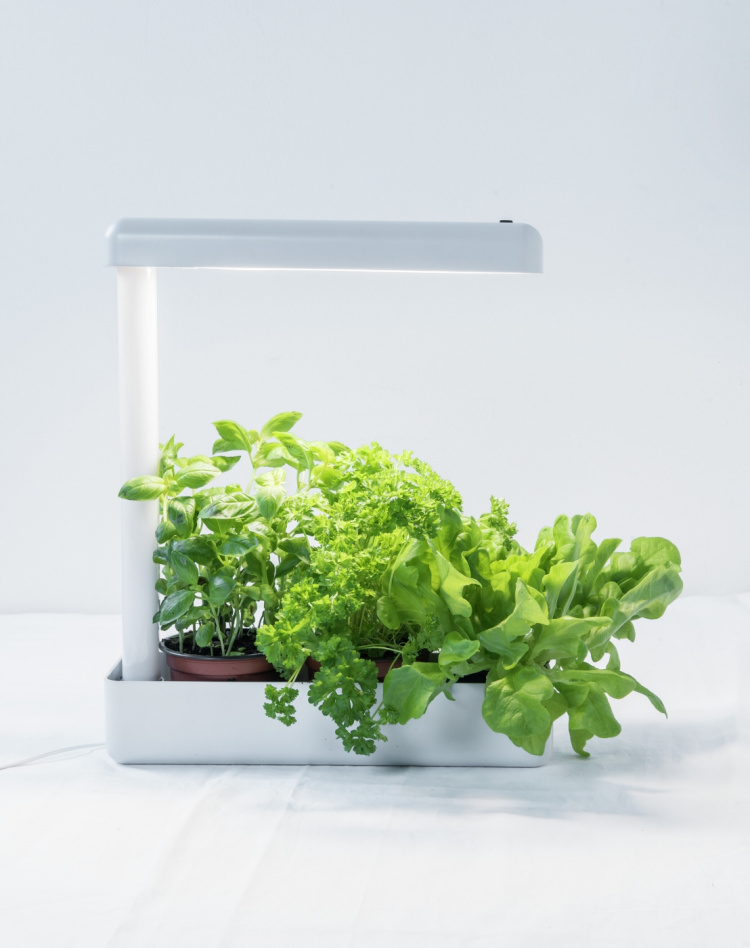 Airam Herby -kasvivalaisin, 10W/840, 650 lm, valkoinen Airam Herby -kasvivalaisin, 10W/840, 650 lm, valkoinen