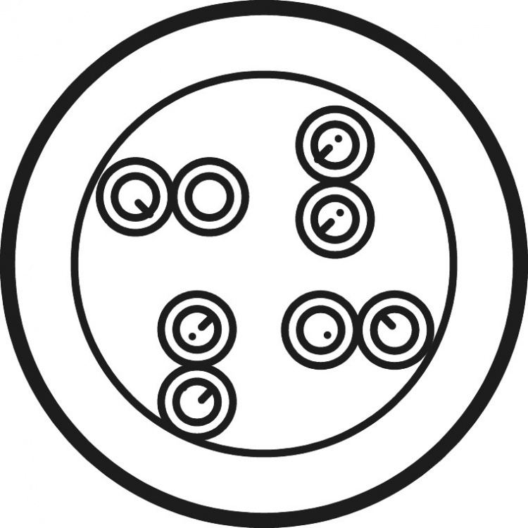 Goobay CAT 6 Network Cable, U/UTP, white CCA copper mixture for SOHO applications, AWG 23/1 (solid), PVC, 305 m Goobay CAT 6 Network Cable, U/UTP, white CCA copper mixture for SOHO applications, AWG 23/1 (solid), PVC, 305 m