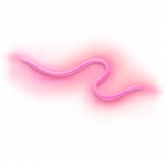 WiZ RGBW-Lightstrip Utomhus 5m WiZ RGBW-Lightstrip Utomhus 5m