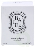 Diptyque Baies Scented Candle 190 gr