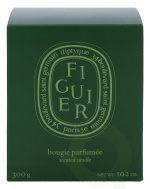 Diptyque Figuier Scented Candle 300 gr
