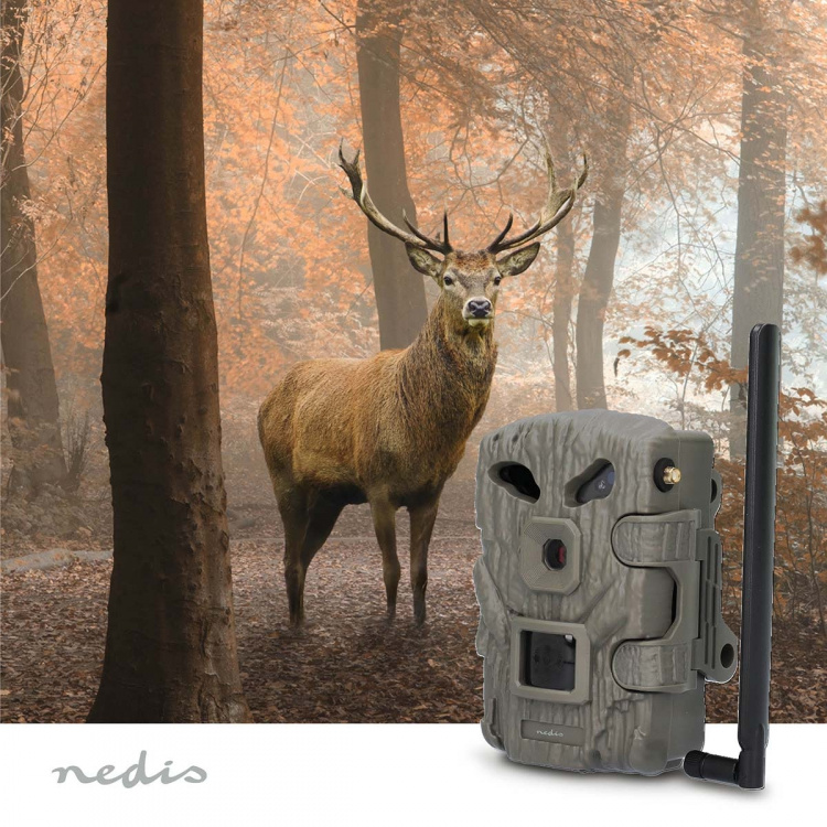 Nedis Wildlife Camera | 1080p@30fps | 30.0 MPixel | 2 MPixel CMOS | IP66 | 4G | Black No-Glow IR | Night vision | Viewing angle: 50 ° | Motion sensor | Detection angle: 50 ° | Detection range: 20 m | LCD Screen | Green