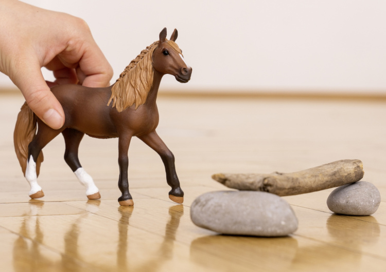 Schleich Horse Club 13953 Peruanskt pasosto