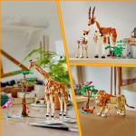 LEGO Creator 31150 - Wild Safari Animals