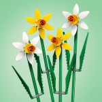 LEGO Botanical 40747 - Daffodils