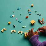 LEGO Friends 42612 - Cat Playground Adventure