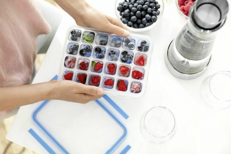 Tefal MasterSeal Fresh isbitslåda