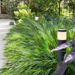 LightsOn Polly Pollare 38cm 350lm 3000K 5W Antracit