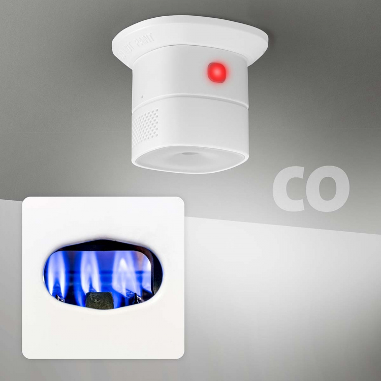 Alecto Smart carbon monoxide detector Alecto Smart carbon monoxide detector