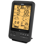 Alecto Professional weather station with wireless sensor black
