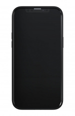 Richmond & Finch iPhone 13 Pro Max Freedom Case, Emerald Zebra