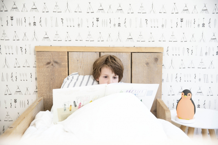 Zazu Pam sleep rhythm music night light, penguin, grey