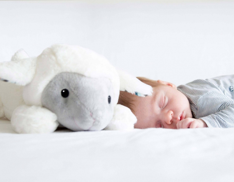 Zazu Lizzy the Lamb soft toy, music Zazu Lizzy the Lamb soft toy, music