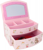 TOPModel CORGI - coral box