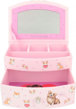 TOPModel CORGI - coral box