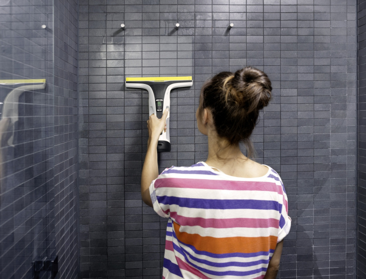 Kärcher WV 7 Signature line window cleaner