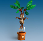 LEGO Harry Potter 76433 - Alruuna LEGO Harry Potter 76433 - Alruuna