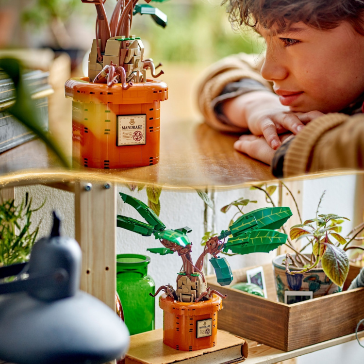 LEGO Harry Potter 76433 - Alruuna LEGO Harry Potter 76433 - Alruuna