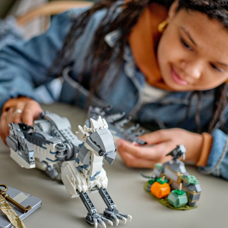 LEGO Harry Potter 76427 - Chinook