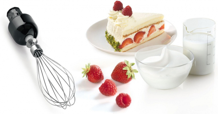 Bosch MSM67160 ErgoMixx hand blender