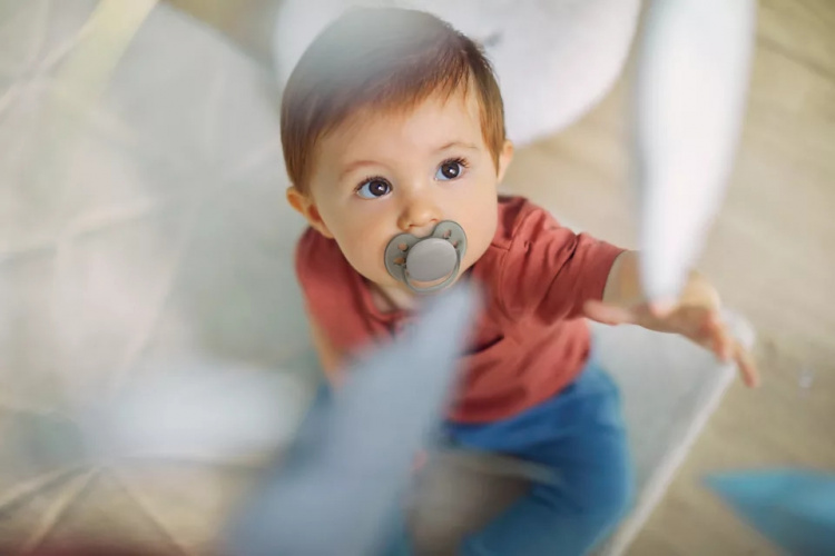 Philips Avent SCF091/17 Ultra Soft teats, 6-18 months, 2 pieces, blue Philips Avent SCF091/17 Ultra Soft teats, 6-18 months, 2 pieces, blue