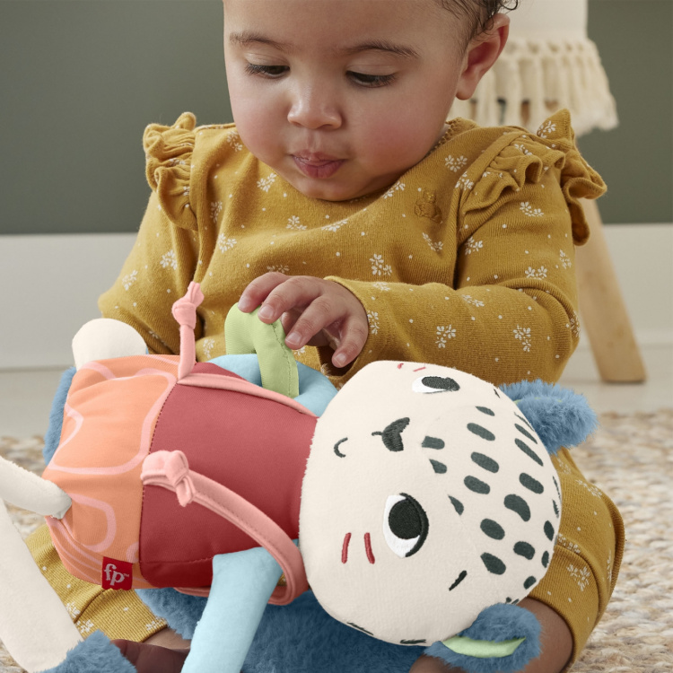 Fisher-Price Spotting Fun soft toy