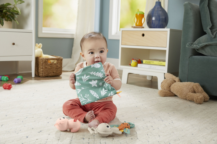 Fisher-Price Sensimals gift box Fisher-Price Sensimals gift box