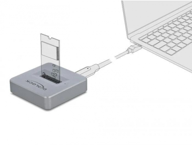 DeLOCK M.2 Docking Station M.2 NVMe PCIe SSD w/ USB TypeC™ female