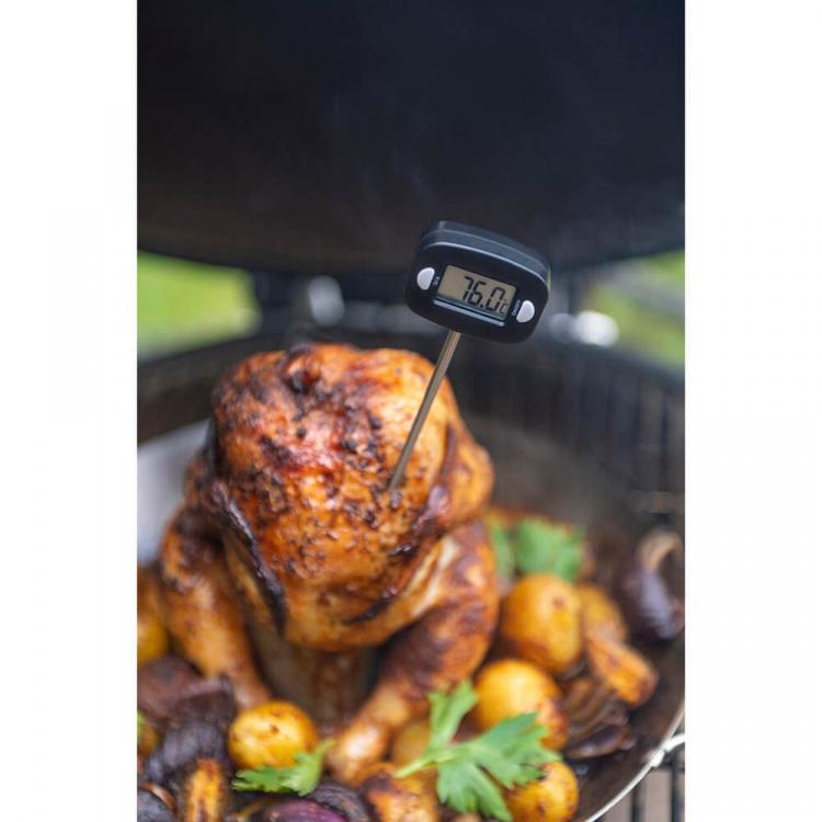 Mustang Digital Thermometer