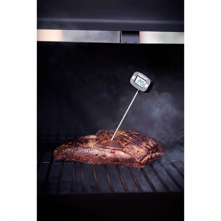Mustang Digital Thermometer